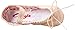 Capezio Little Kid/Big Kid Split Sole Daisy 205 Ballet Shoe,Ballet Pink,1.5 M US Little Kid