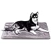 JoicyCo Dog Bed Crate Pad Mat Soft Mattress 42 in Non-Slip Washable Pet Dog Beds for Large Dogs Kennel Pad, Lilac Grey L