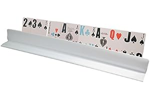 Reizen Jumbo Card Holder