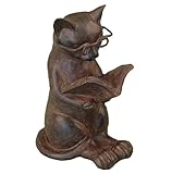 youngs Cat Reading Book Figure - Kitten Lovers Desk Accessory Purr-FECT Home Decor