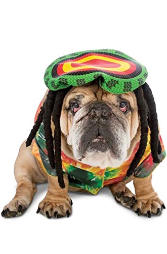 Zelda Wisdom Rasta Dog Costume,