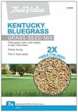 Barenbrug USA TVKBG7 TV 7 lb Kentucky Bluegrass Seed