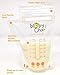 Baby Chan Breast Milk Storage Bags, 100 Count (2 Packs of 50 Bags) with Double Zipper Seal and Convenient Pour Spout, Excellent for Storing and Freezing Breastmilk, Pre-sterilized, BPA and BPS-Free