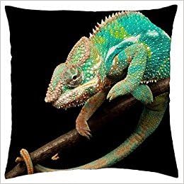 PILLOWE CASE changing color camaleon - Throw Pillow Cover Case (18" x 18")