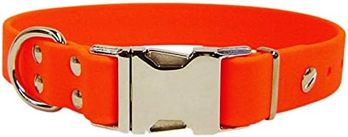 Sparky's Choice Dog Collar Color: Orange, Size: 1" x 18"