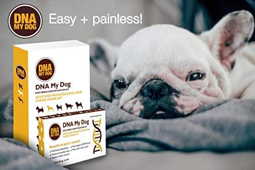 dna my dog test kit