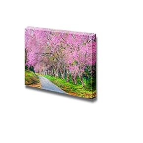 Canvas Prints Wall Art - Cherry Blossom Path Way | Modern Wall Decor/Home Decoration Stretched Gallery Canvas Wrap Giclee Print. Ready to Hang - 12" x 18"