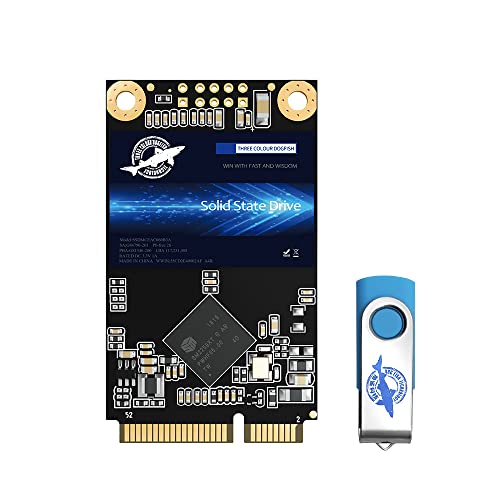Hard Drive Dogfish Msata Ssd Hard Drive Msata Vs Sata Ssd SSD SATA