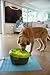 Dog H20 & Cat H2O 8 Piece Dental Care, suitable for both Dog H2O & Cat H2O water fountain, Off White Tablets (DH08DC)