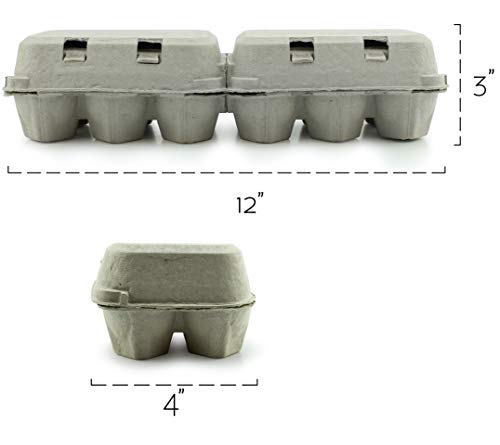 2 Dozen+Cartons+30+Pack+Split+Apart