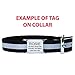 GoTags Pet ID Slide-On Personalized Dog & Cat Tags. Silent, No Noise Collar Tags made of Stainless Steel. Custom Engraved. Includes up to 4 Lines of Personalized Text., Medium