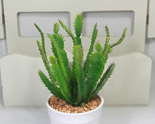 Lopkey Fake Succulent Flora Artificial Cacti Plants set of 2