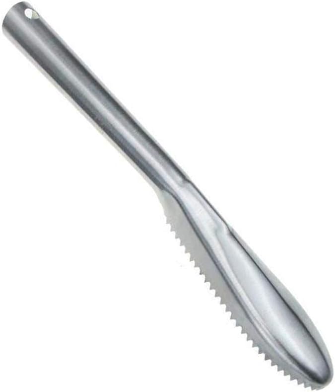 Lezed Fischentschupper Edelstahl, Fischschuppen Pinsel Mit Großen Zähnen und Kleinen Zähnen, Küchenhelfer, Silber, 23 * 3.2cm