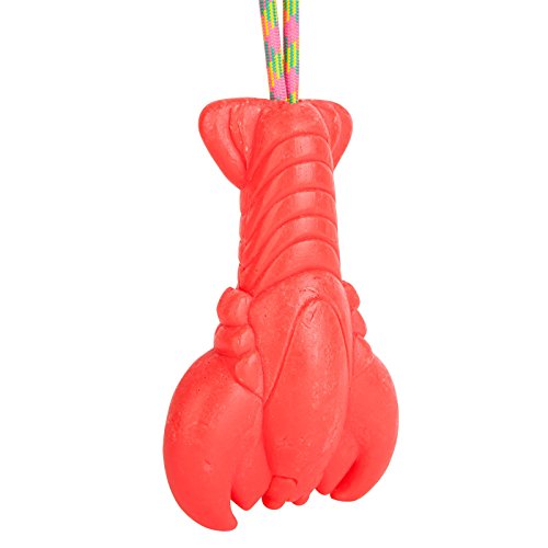 Sunnylife-Underwater-35mm-Camera-w-Detachable-Waterproof-Casing-Wrist-Strap