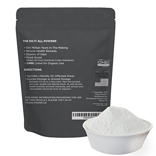 FOSSIL POWER Food Grade DIATOMACEOUS Earth Organic Powder 2lb Bulk