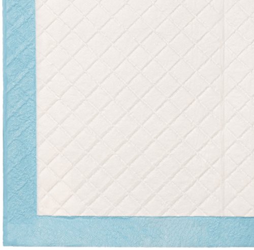 1 AmazonBasics+Heavy+Training+Regular+80+Count