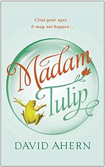 Madam Tulip: (An Irish cozy mystery - Book #1) by [Ahern, David]
