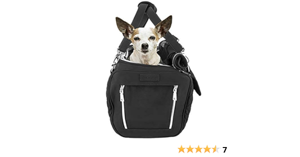 zugopet jetsetter