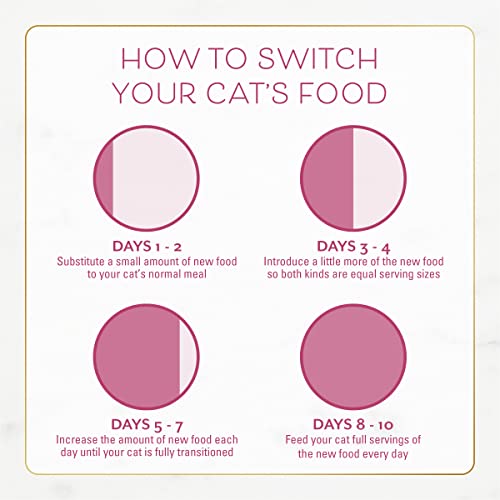 PURINA FANCY FEAST DRY CAT FOOD FILET MIGNON FLAVOR WITH SEAFOOD AND SHRIMP – 3 LB. BAG