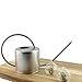 Darware Stainless Steel Watering Can — 1.3 Quart / 44oz / 1300 ml Capacity Brushed SS Watering Pot, Long Spout & Elegant Curved Handle