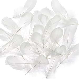 Amazon.com: Coceca 150pcs Large White Feathers for Arts and Crafts
