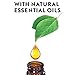 Air Wick Essential Mist Refill, 1 ct, Fresh Pine and Juniper, Essential Oils Diffuser, Air Freshener, Fall scent, Fall decor