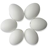 Set of 6 Blown Out Duck Eggshells