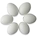 BestPysanky Set of 6 Blown Out Duck Eggshells