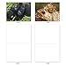 The Best Card Company - 10 Adorable Note Cards Blank (4 x 5.12 Inch) - Wildlife and Animal Cards, Assorted Boxed Kids Set - Animal Smackers M6594OCB
