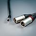 Astell&Kern PEE41 5-Pin Mini XLR to 3-Pin XLR Cable, 1.2M (Black)