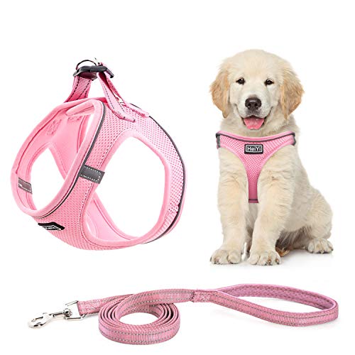 HeiYi Puppy Harness and Leash Set, Dog Harness Vest Set Reflective and