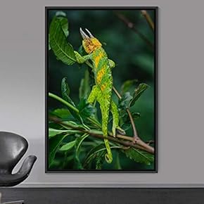 signwin Framed Canvas Wall Art Reptile Contemporary Dramatic...