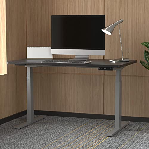 AITERMINAL Electric Standing Desk Frame Dual Motor Height Adjustable