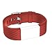 For Fitbit Charge 2 Bands, Adjustable Replacement Bands with Metal Clasp for Fitbit Charge 2 Wristbands Special Edition Red Small