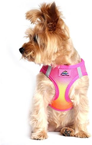American River Dog Harness Ombre Collection - Raspberry/Pink/Orange (M (16" - 19" girth))