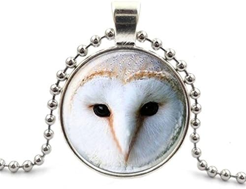 Glass Dome Art Jewelry Animal Barn Owl Pendant Glass Cabochon Necklace