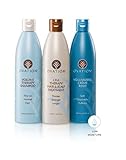 Ovation Volume Cell Therapy System - Salon Quality - Get Stronger, Fuller & Healthier Looking Hair with Natural Ingredients. Includes Volume Therapy Treatment Shampoo and Volumizing Creme Rinse