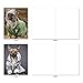 The Best Card Company - 10 Blank Dog Greeting Cards for All Occasions (4 x 5.12 Inch) - Dogs In Da Hood M3733OCB-B1x10-NB