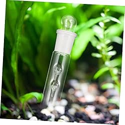 UKCOCO Leech Flatworm Aquatic Planarian Tube Shrimp