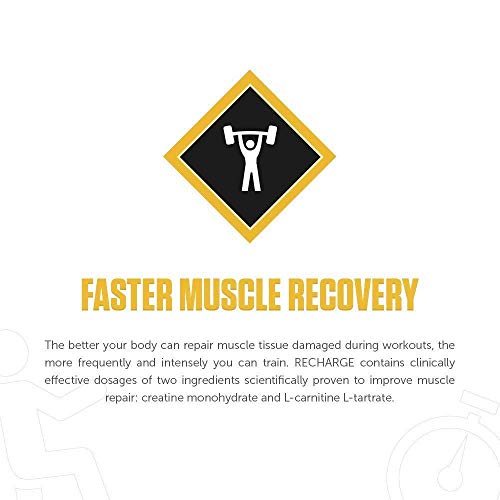 5 Legion+Recharge+Post+Workout+Supplement