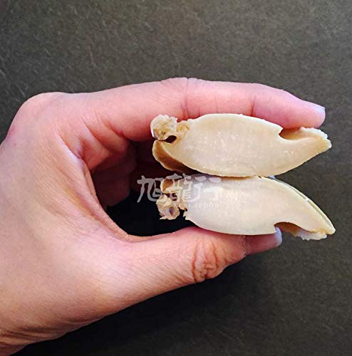 4 XLSEAFOOD+Haliotis+Australia+50+70pcs+%25E7%2589%25B9%25E7%25BA%25A7%25E6%25BE%25B3%25E6%25B4%25B2%25E6%25BA%258F%25E5%25BF%2583%25E5%25B9%25B2%25E9%25B2%258D%25E9%25B1%25BC