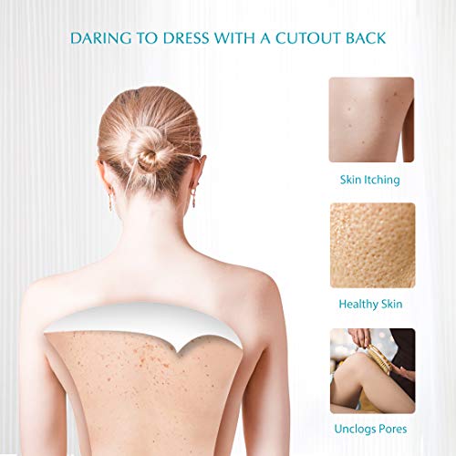 Body Brush Dry Skin Brushing for Bath or Shower - Bamboo Long Handle Back Brush Remove Exfoliating and Cellulite