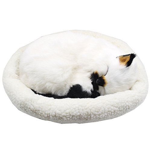 breathing stuffed cat