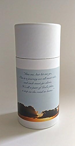 Pasco Specialty Products One Child/Pet - Classic White Biodegradable Cremation Scattering Tube w/Telescopic Lid & Instructions (Style:Heavenly)