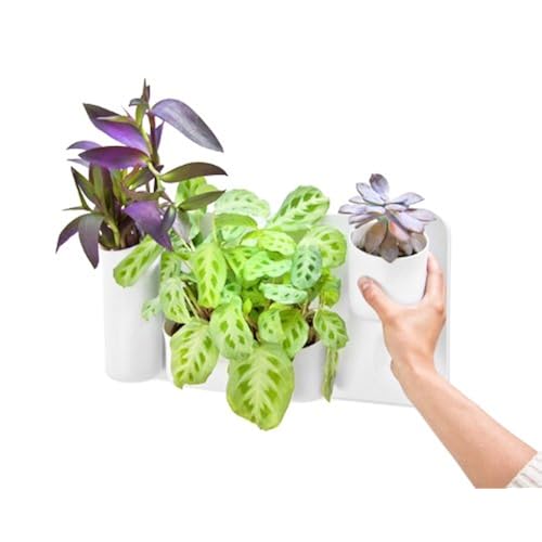 Patio, Lawn & Garden, Gardening & Lawn Care, Pots, Planters & Container Accessories, Vertical & Wall Planters