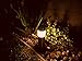 LowVoltz Solar 6 Pack Stainless Steel Solar LED Path Lights. Outdoor Solar Pathway Lights Garden, Yard Walkway. Modern Design, Solar Path Landscape Lighting, Longest Charge (Stainless Steel Round)