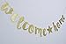 Home Welcome Gold Glitter Banner for Housewarming Patriotic Military Decoration Family Party Supplies Bunting Photo Booth Props Assembled Sign (Gold)