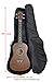 Performance Plus Heavy Duty 600 Denier Nylon Acoustic Guitar Bag (GB060)