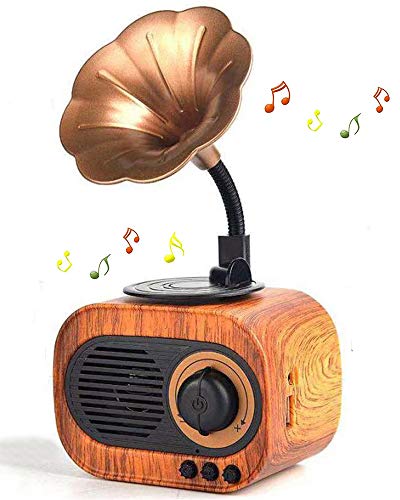 BGJOY Retro Music Speaker Vintage Wireless Portable