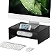 FITUEYES Computer Monitor Riser Stand Laptop Desktop Stand Workspace Organizer DT203801WB